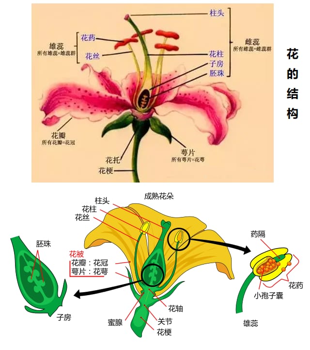 image-20240425170046975