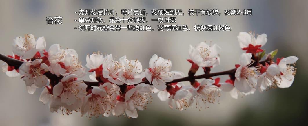 image-20240425173048307