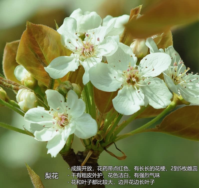 image-20240425180444858