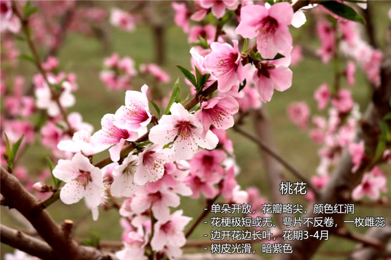 image-20240425201024558