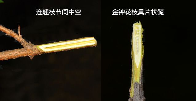 image-20240426160334204