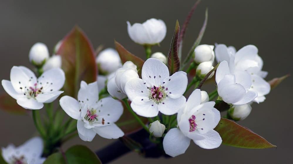 image-20240426165831899