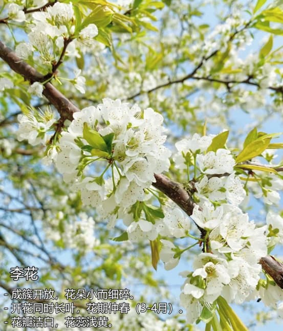 image-20240426175606582