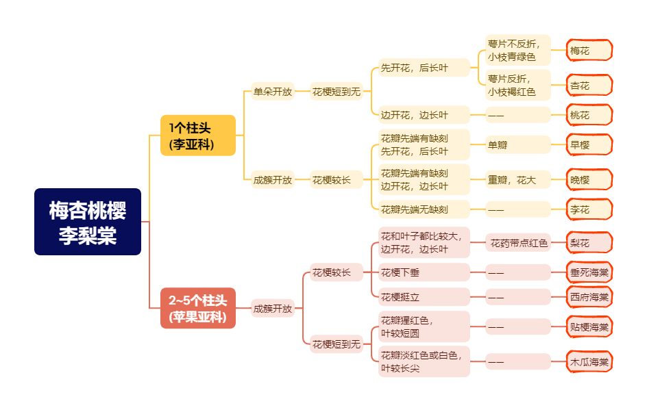 梅杏桃樱李梨棠