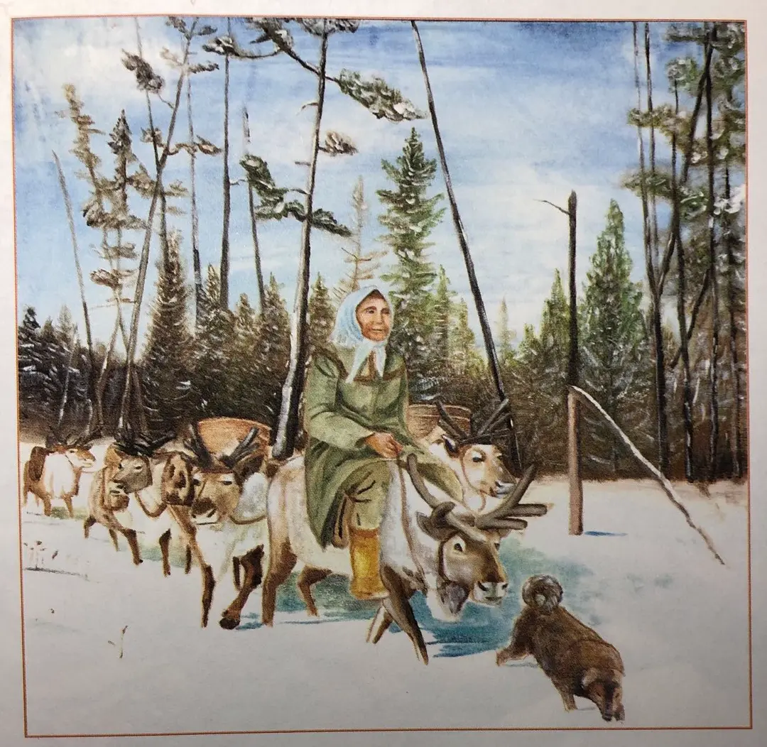 图鄂温克族特色驯鹿群、雪地、树林